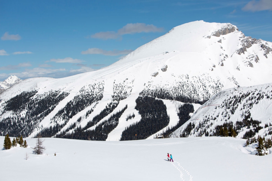 Wintersport Banff Mountain Norquay